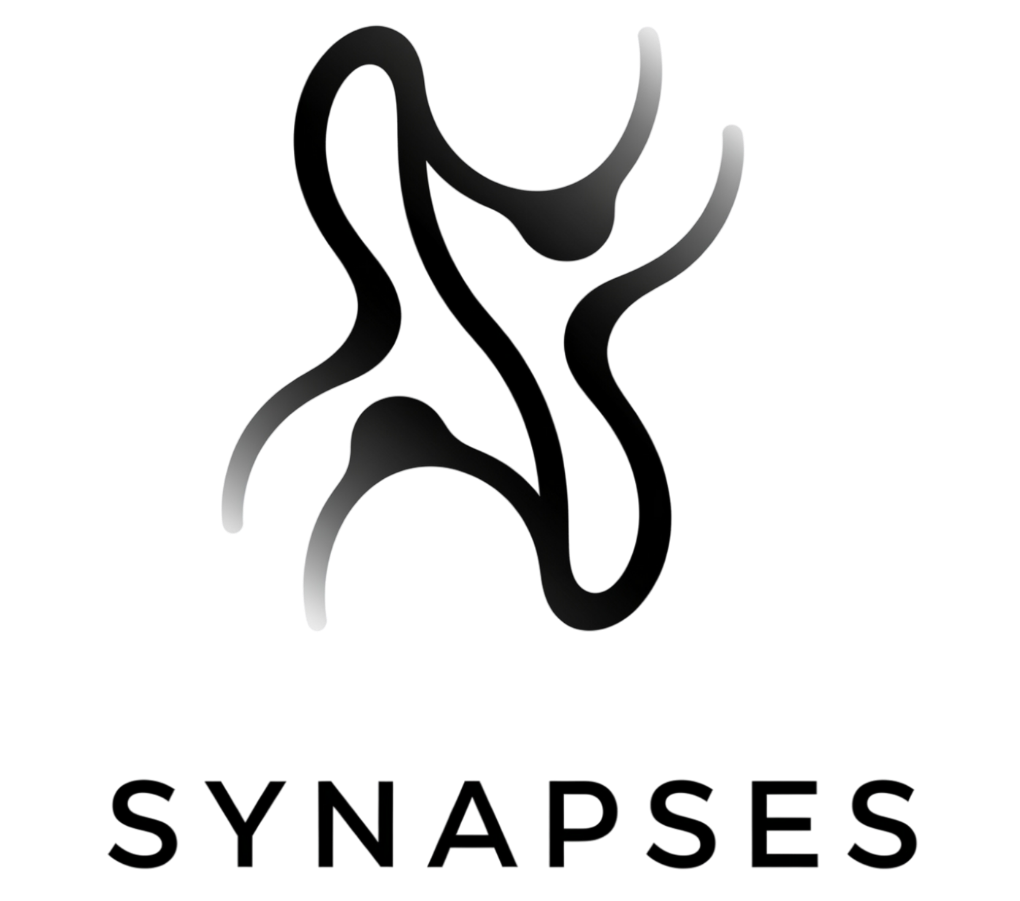 Synapses